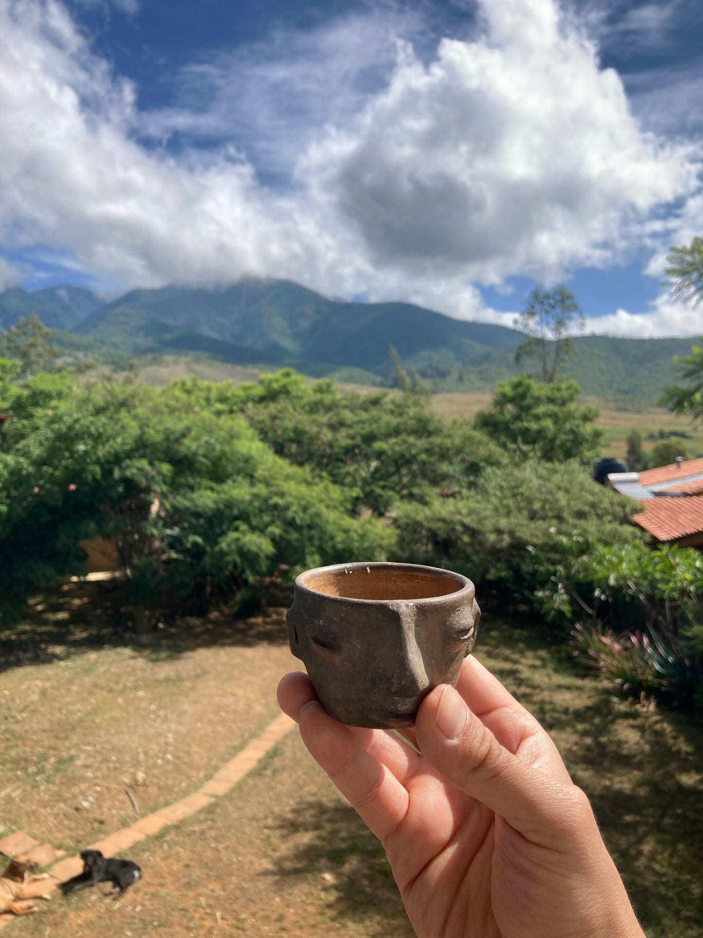 Taza de barro